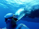 Дайвер сделал селфи с китом в океане вблизи Полинезийских островов
