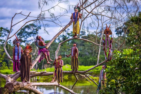 Индийцы каксинау балансируют на деревьях в Амазонке, в штате Акко, Бразилия