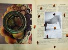 Фотограф поєднав оголених жінок, їжу та радянську кулінарну книгу