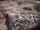 Скелет кита знайшли у Керчі