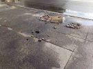 Злива зруйнувала вулицю Антоновича