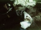Скелет женщины прлежав на глубине глубине 386 метров около 14 тыс. лет