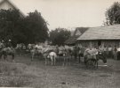 Життя волинян у Бразилії в 1930-х роках