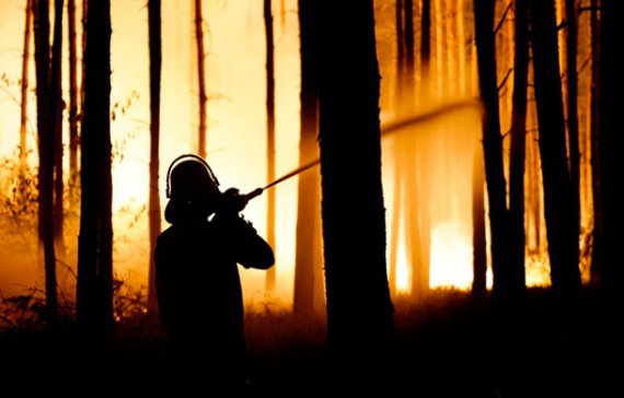 В Німеччині велика лісова пожежа. Фото: EPA/UPG