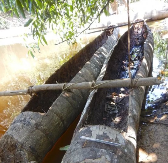 В джунглях знайшли плем'я, яке ніколи не контактувало з іншими цивілізаціями. Фото: Funai