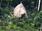 В джунглях нашли племя, которое никогда не контактировало с другими цивилизациями. Фото: Funai
