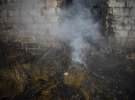 У селі Оженин Острозького району на Рівненщині  під час пожежі загинули 7-річний хлопчик та дівчинка, 6 років