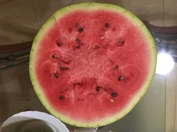 У Києві показали небезпечні кавуни