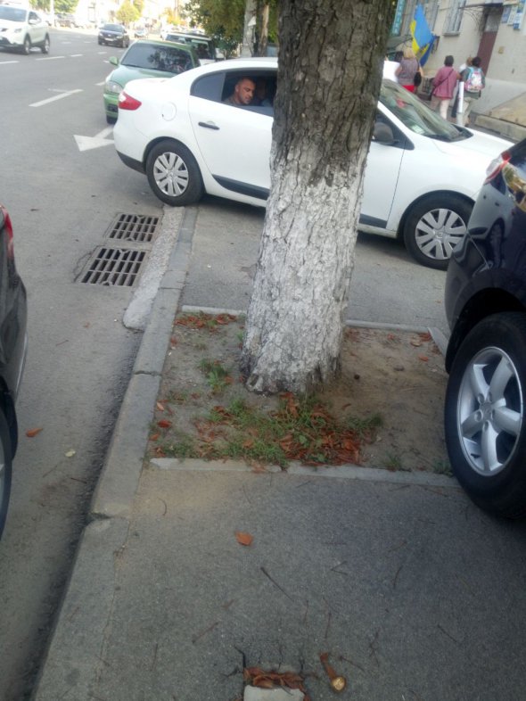 Жителі села Підгірці вийшли на пікет з вимогою скасувати генеральний план села