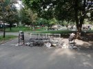 Студенти Київського політеху влаштували безлад у парку