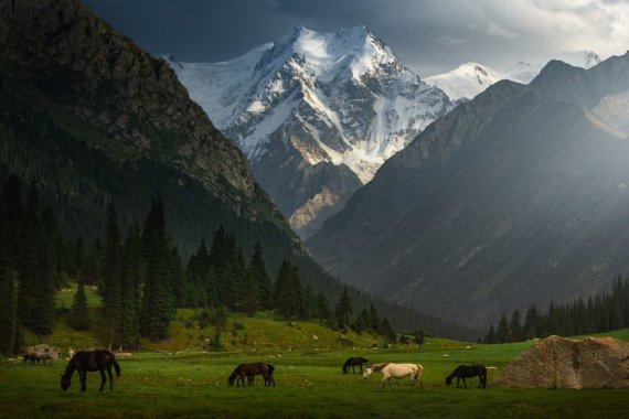 Кыргызстан стал для Альберта настоящим раем, как для фотографа