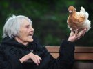 Кури допомагають людям похилого віку подолати самотність, впевнені активісти