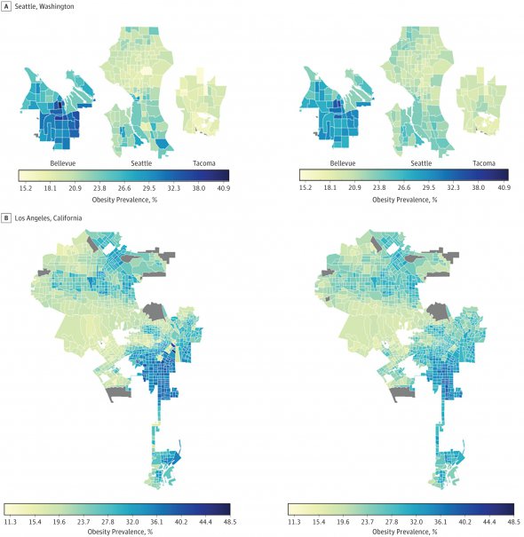 Диграма показывает уровень ожирения в городах по зонированию. Светло-зеленые районы более "стройные", темно-синие - более "полные"