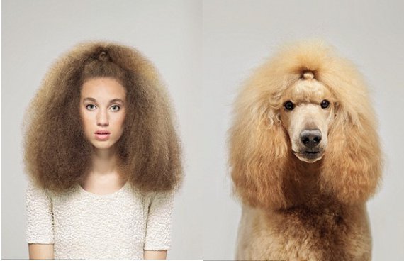 Джеррард Гетінгс з Англії робить знімки людей і собак, які дуже схожі один на одного