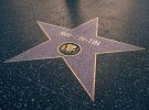 Звезда Рин-Тин-Тина на "Алее славы" в Лос-Анжелесе, США