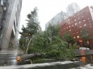 Упавшее от сильного ветра дерево лежит на улице Мидосудзи в центре Осаки