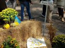 Украинский фестиваль голубцов в Гааге