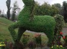 В Виннице создали 2-метровых зеленых травяных лошадей с 20 тысяч растений