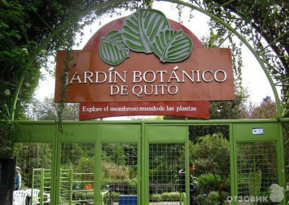 Ботанические сады, которые поражают: показали 7 крупнейших в мире