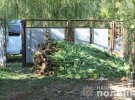В селе Винковое  Мукачевского района на Закарпатье местный житель дома вырастил плантацию конопли