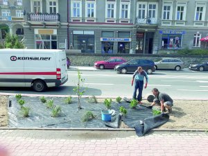 Львів’янин Богдан Замислянський (праворуч) володіє четвертою частиною польської фірми з вирощування декоративних рослин. У бізнес вклав 100 тисяч гривень