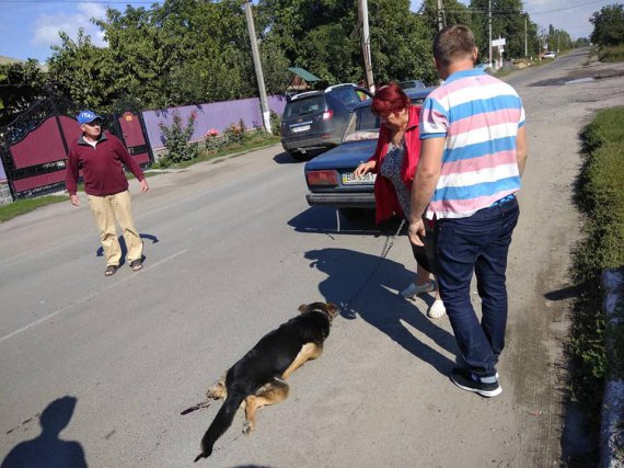 Пенсіонерка хотіла позбутися собаки: прив’язала тварину до машини і волокла за місто