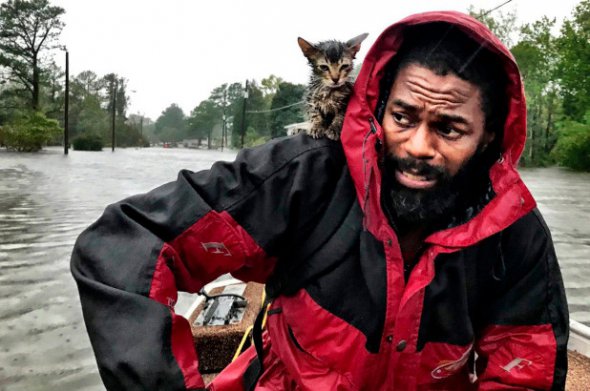 Роберт Симмонс-младший спас от потопа котенка