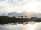 Витольд Зиомек из Кракова делает сказочные фотографии с путешествий