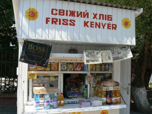 Вивіски в місті Берегове — переважно угорською мовою. У кіосках продають угорські газети. Більшість місцевих жителів живуть за будапештським часом. На дверях деяких крамниць години роботи вказані з приміткою ”за київським часом”