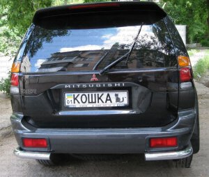Автомобильные номера можно будет заказать через интернет. Фото: auto-zapchasti.com.ua