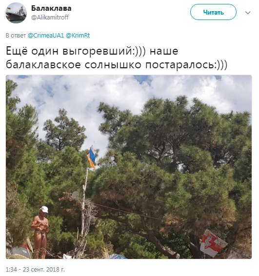 Выгоревшие триколоры выглядят как желто-голубой флаг Украины