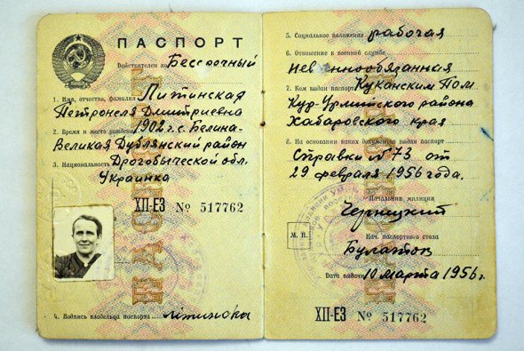 Паспорт Петрунелии Литинской