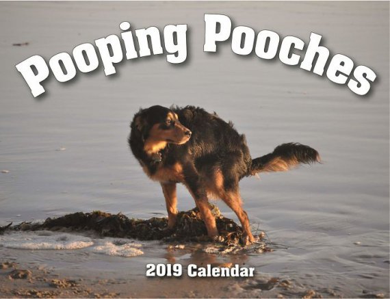 Создали календарь с собаками, которые производят потребности на страницах