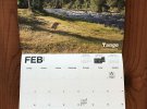 Створили календар із собаками, які справляють потреби на сторінках