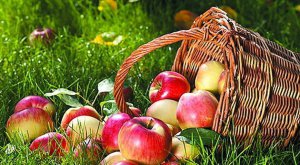 В Україні почали дорожчати яблука