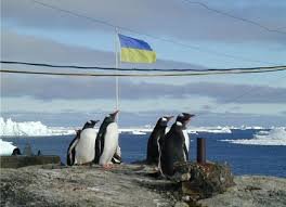 До пінгвінів не можна наближатися ближче, ніж на 5 метрів. Фото: dozor.kharkov.ua