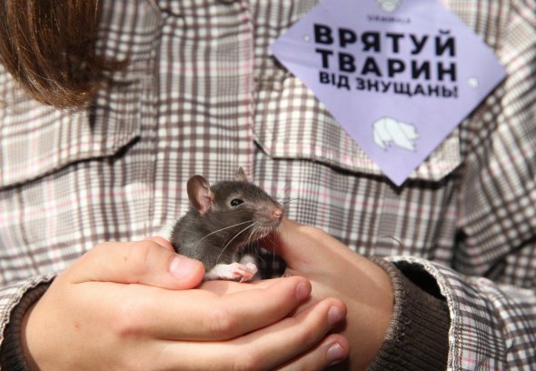 Кияни вийшли на марш за тварин. Фото: ТСН