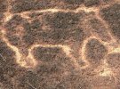 В Индии нашли уникальные пещерные рисунки
