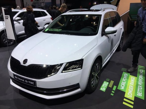 SKODA OCTAVIA G-TEC. Фото: Авто 24