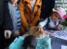 Во Львове впервые состоялась выставка морских свинок
