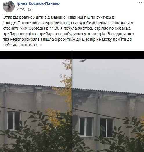Студенти Тернопільського коледжу розстрілювали собак і прибиральницю