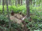 В селі Реклинець Сокальського району Львівської області виявили повстанський бідон з листівками, брошурами та кліше часів ОУН-УПА.