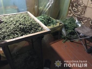 Одесские правоохранители изъяли марихуаны на 4 млн гривен. Фото: Нацполиция