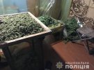 В Овидиопольском районе Одесской области у 36-летнего мужчины изъяли наркотиков на 4 млн грн