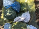 В Овідіопольському районі Одещини у 36-річного чоловіка  вилучили   наркотиків на 4 млн грн