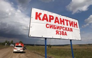 Одесская область: всем животным Саратского района сделали прививки от сибирской язвы
