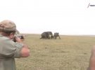 Мужчина целится в слона в заповеднике Накаболельвы