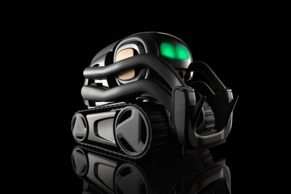 Vector — эмоциональный робот-компаньон. Фото: 24gadget.ru