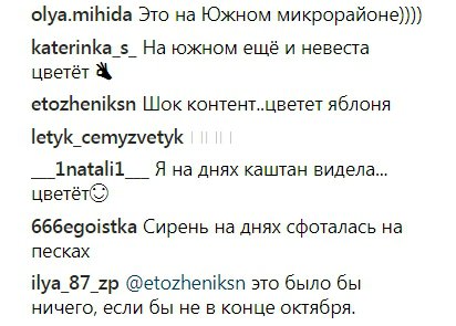 В комментариях к публикации местные рассказали, что видели цветение других деревьев