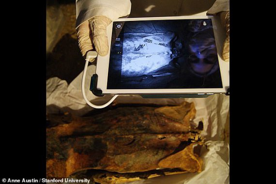 Тело мумии покрывают около 30 татуировок